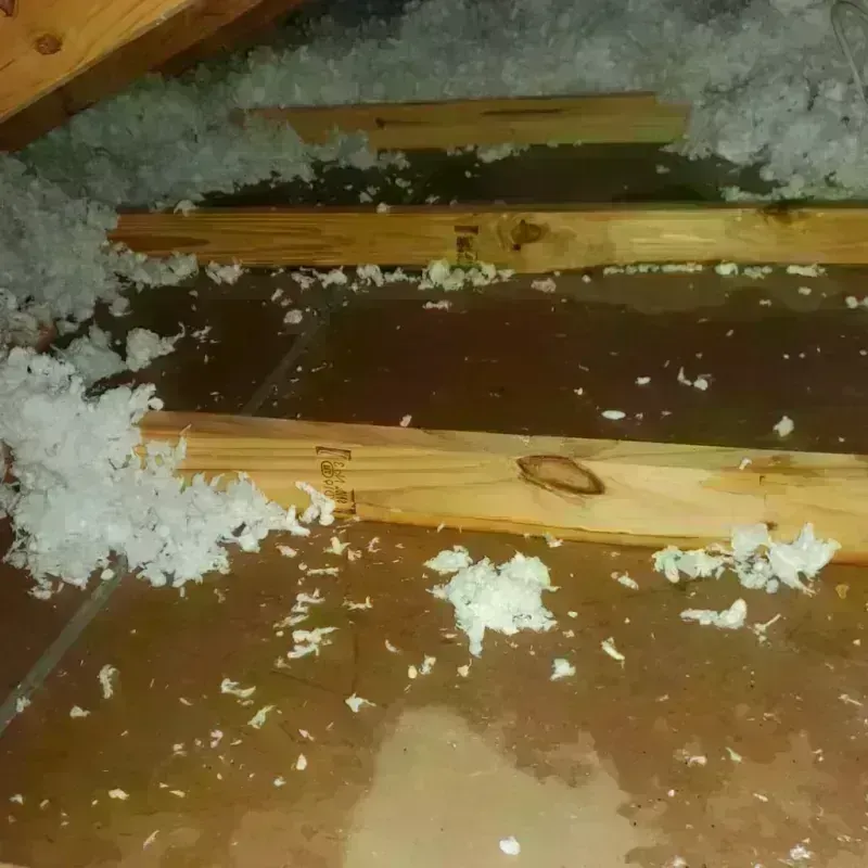 Attic Water Damage in Highlands, TX