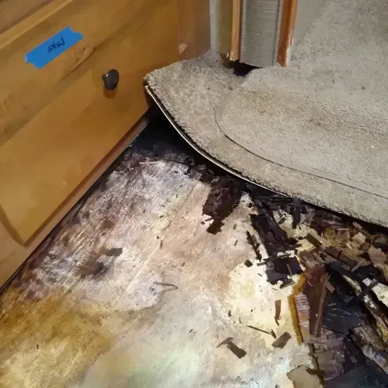 Best Wood Floor Water Damage Service in Highlands, TX